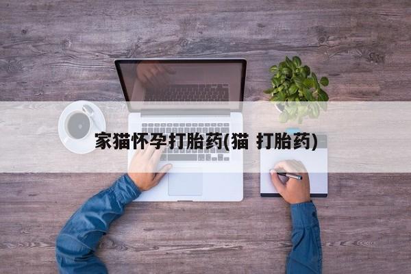 堕胎药联系方式家猫怀孕打胎药(猫 打胎药)